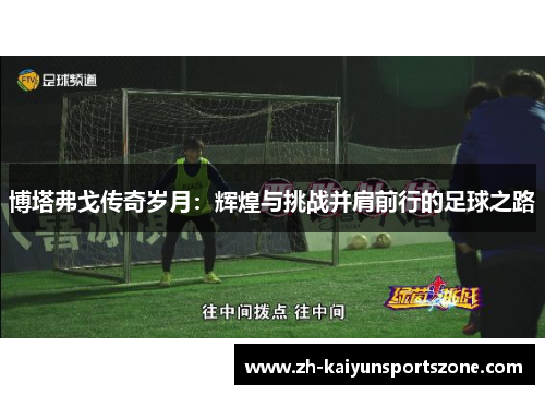 博塔弗戈传奇岁月：辉煌与挑战并肩前行的足球之路